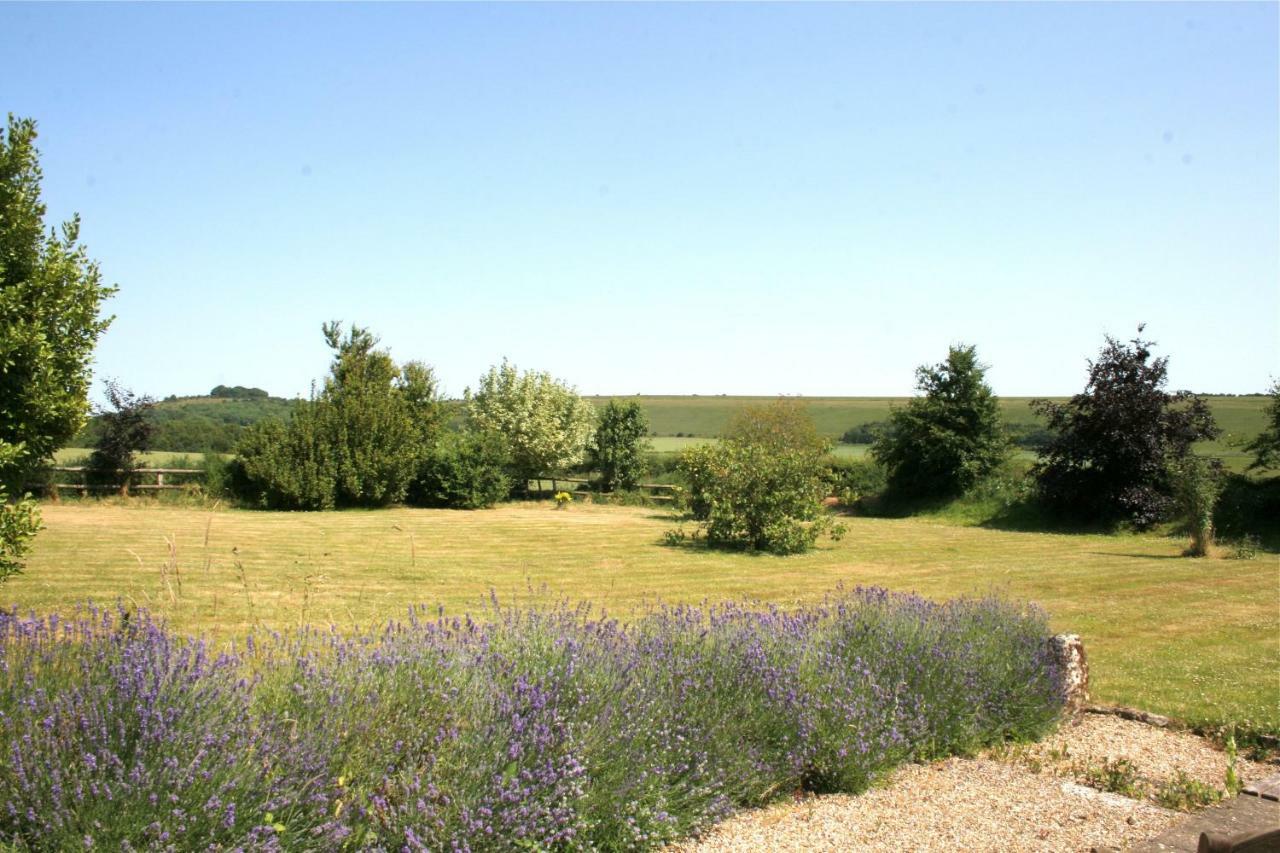 Spacious Swallow Cottage Tisbury Extérieur photo