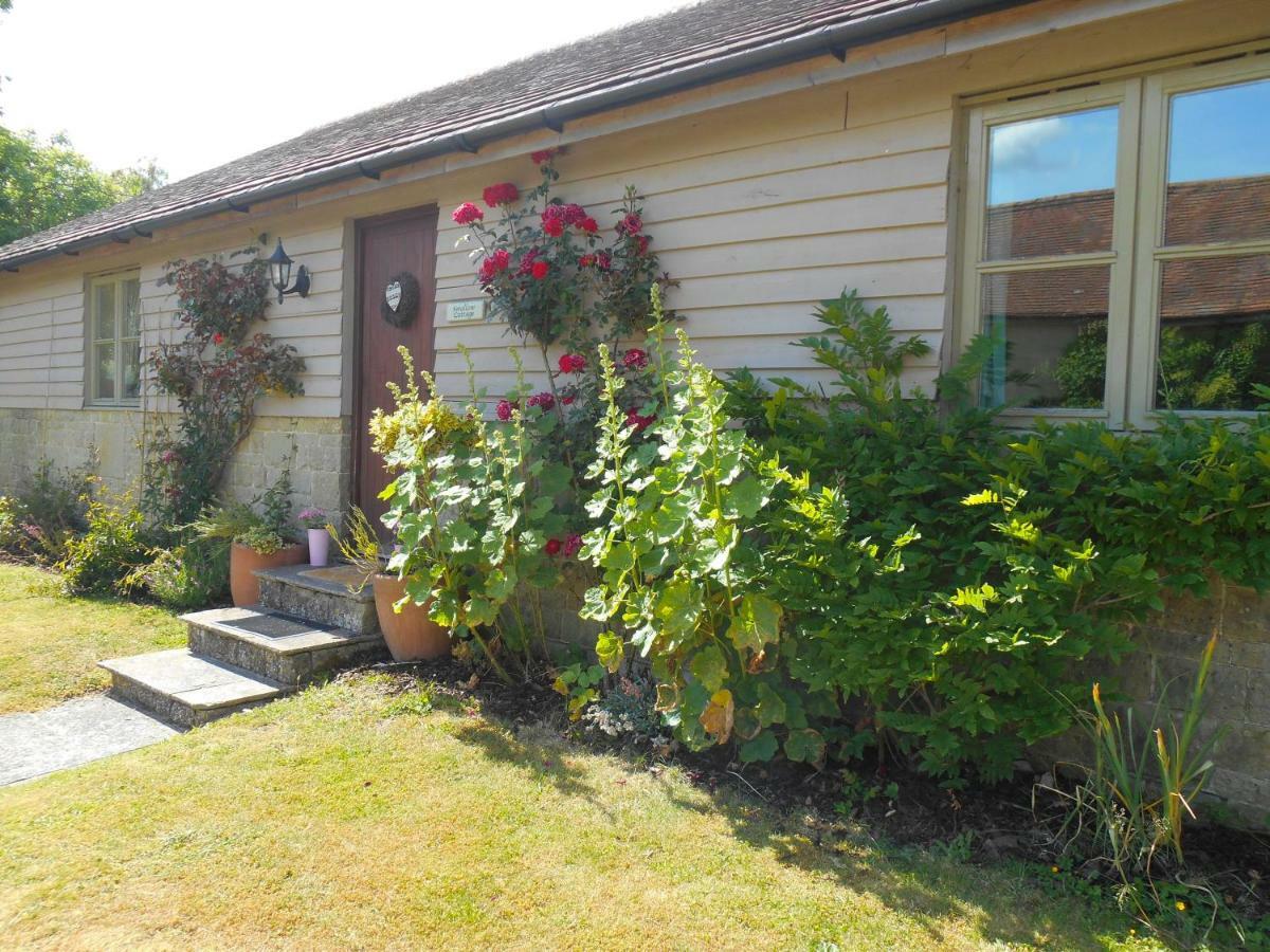 Spacious Swallow Cottage Tisbury Extérieur photo